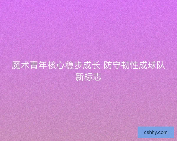 魔术青年核心稳步成长 防守韧性成球队新标志